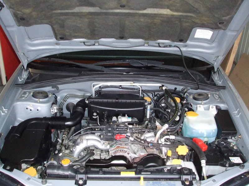 DetailingSubareForester060.jpg