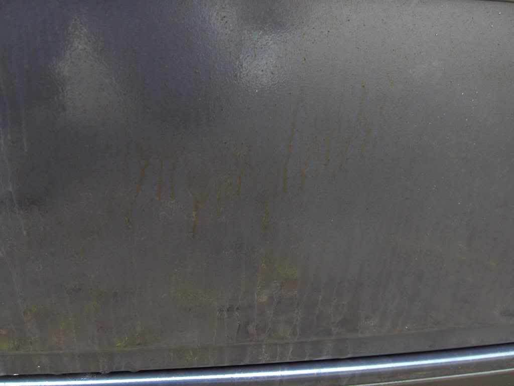 HPIM2225.jpg