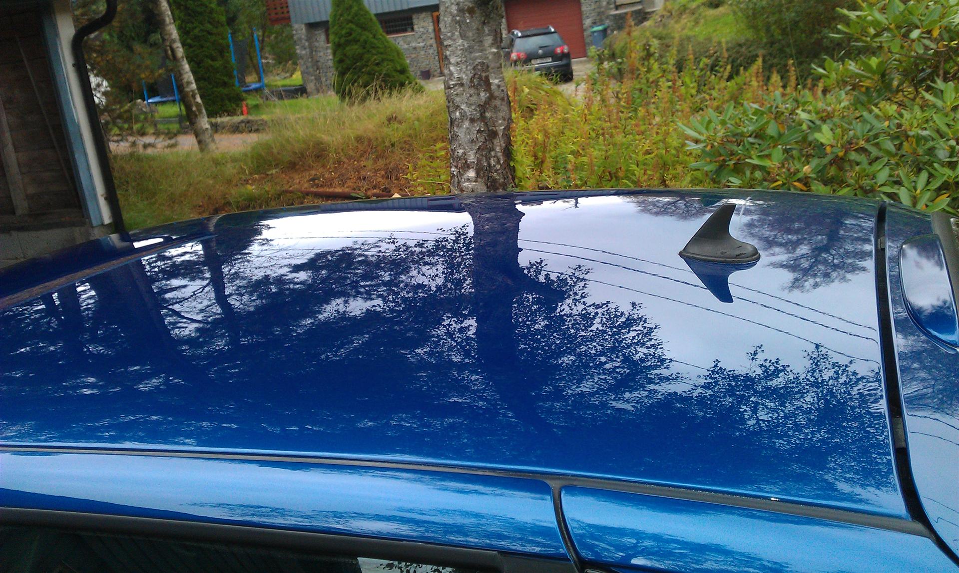 IMAG0199.jpg