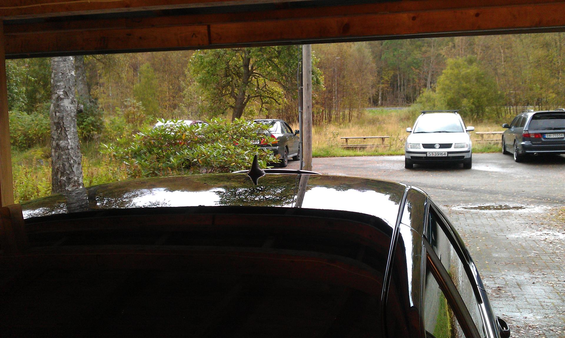 IMAG0213.jpg