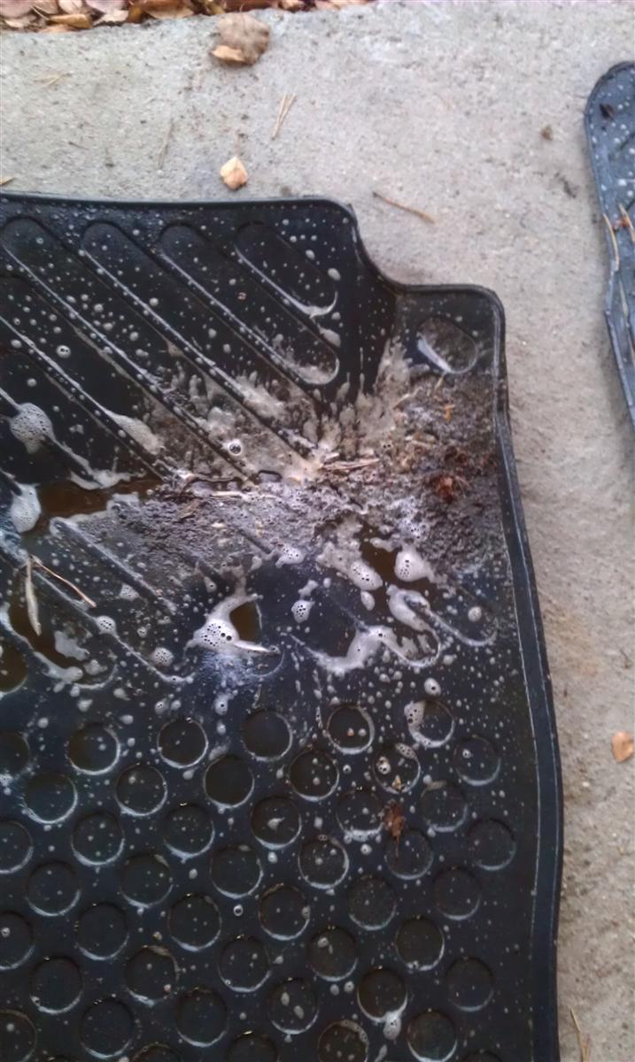 IMAG0217.jpg