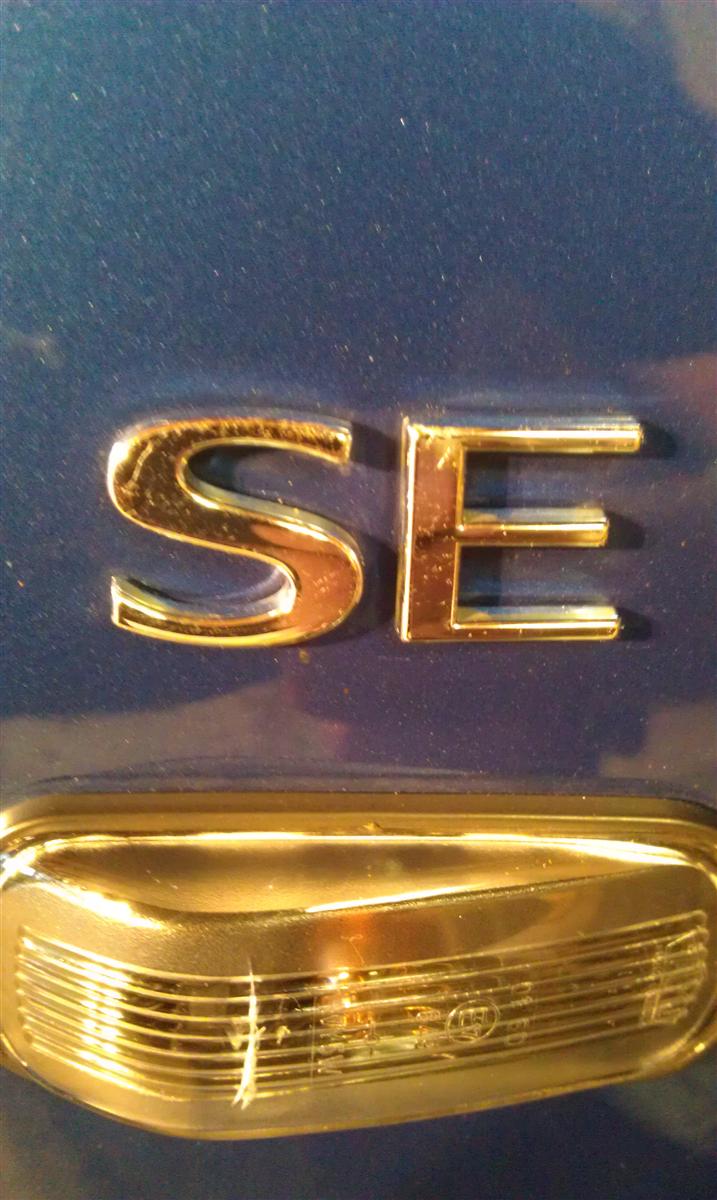 IMAG0225.jpg