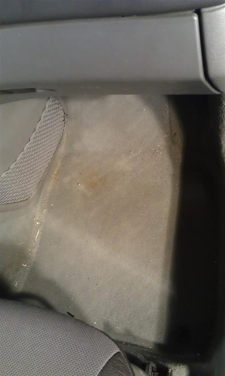 IMAG0227.jpg