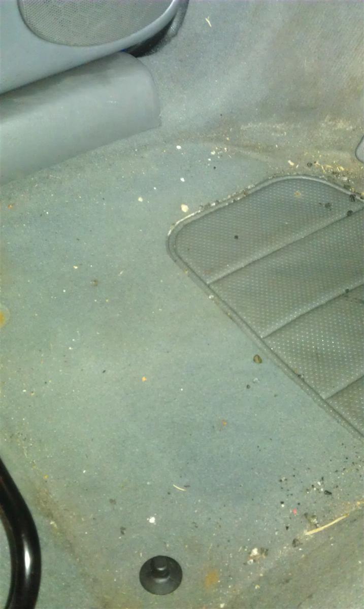 IMAG0230.jpg