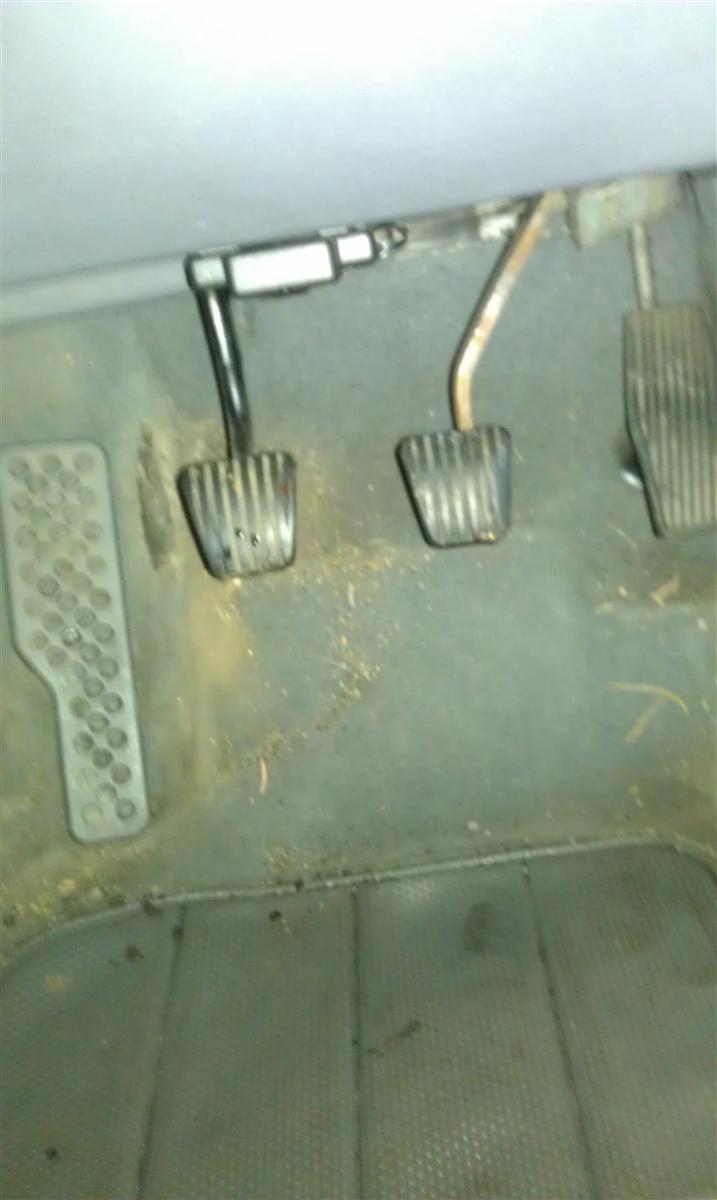 IMAG0231.jpg