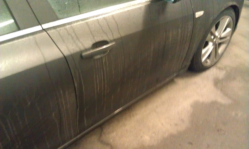 IMAG0479.jpg