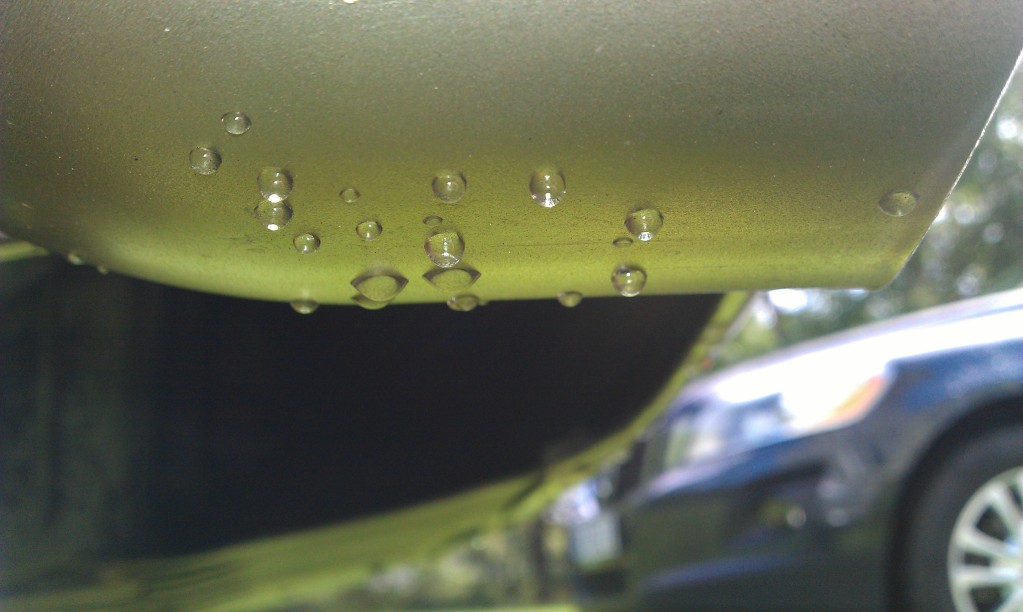 IMAG0623.jpg