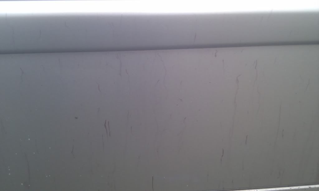 IMAG0659.jpg