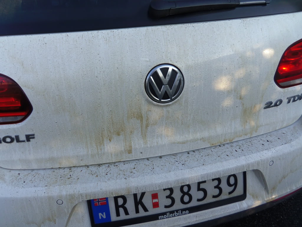 IMGP0503.jpg