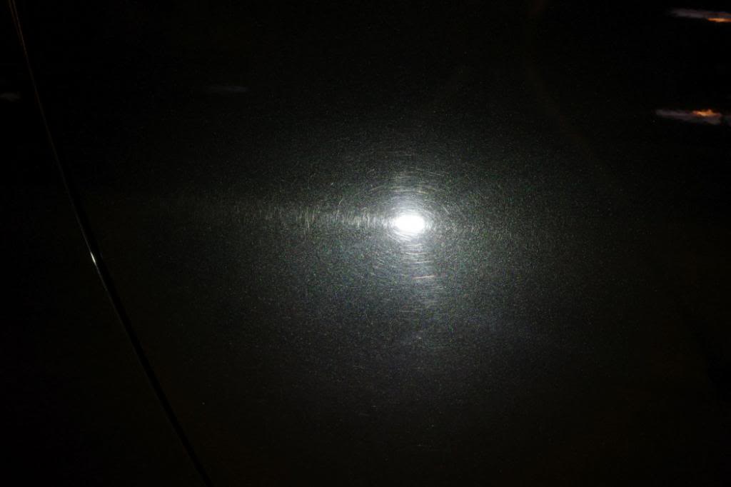 IMGP1940_zpse0c2b575.jpg