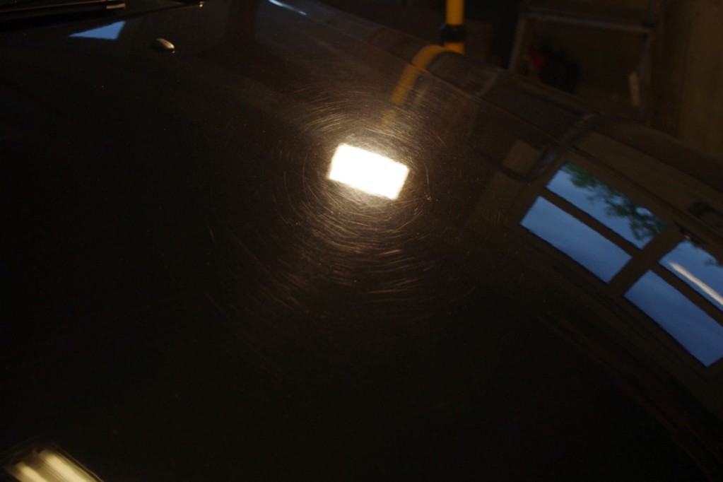 IMGP7770.jpg