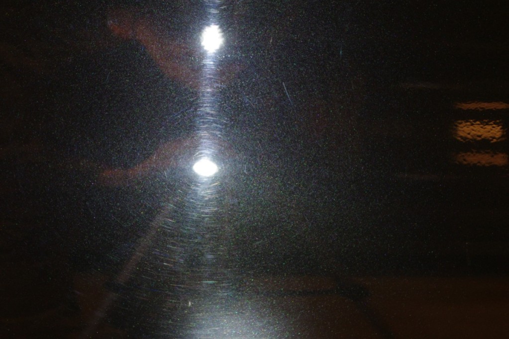 IMGP7795.jpg