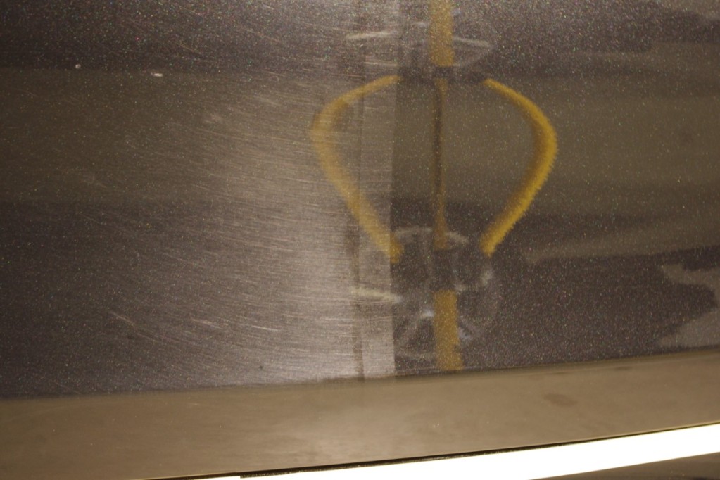 IMGP7837.jpg