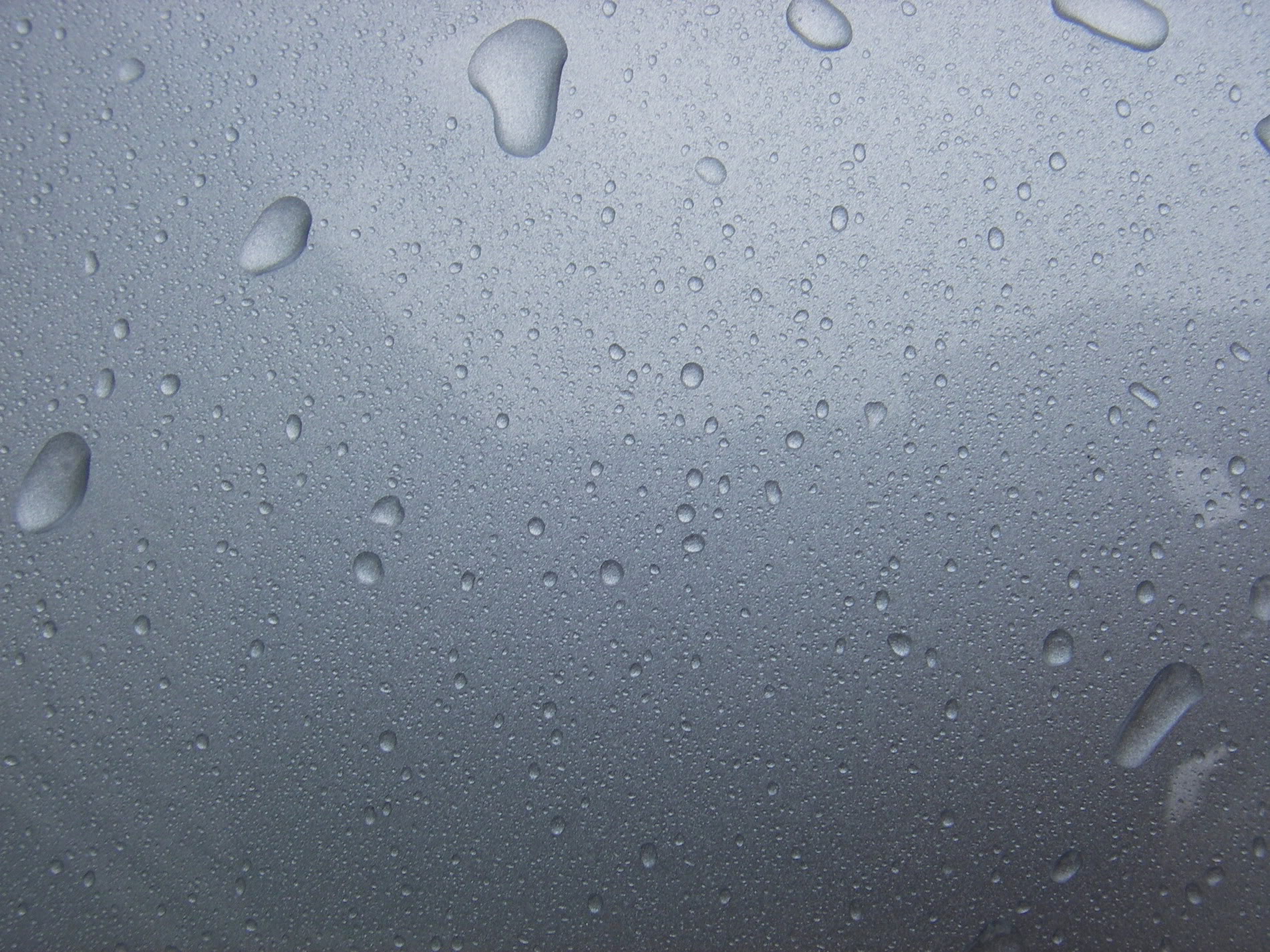 IMGP8185.jpg