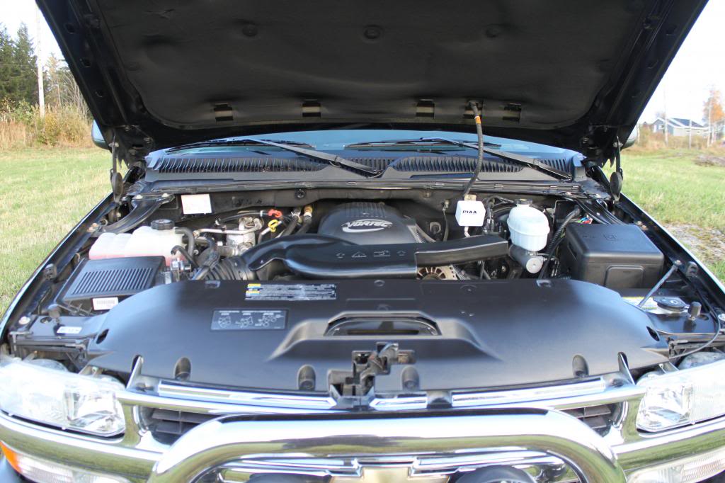 IMG_0064_zps99786e4c.jpg