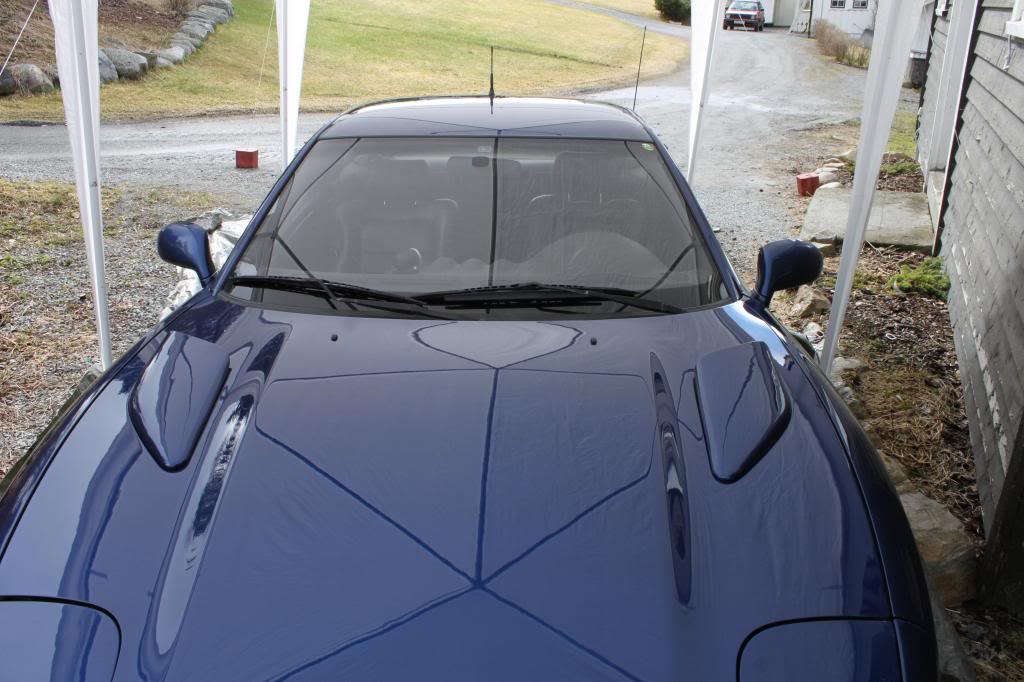 IMG_0283_zps6a1de07f.jpg