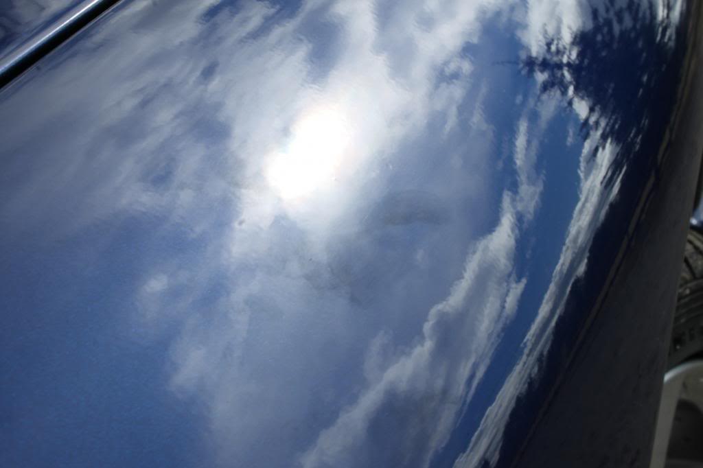 IMG_0302_zps2a64f2f3.jpg