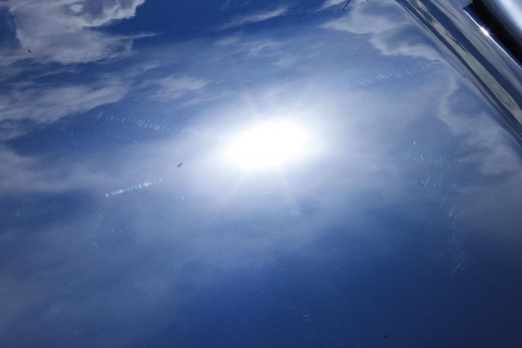 IMG_0307_zps8d3ee159.jpg