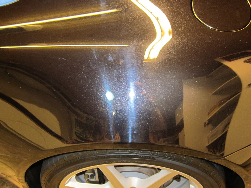 IMG_0772.jpg