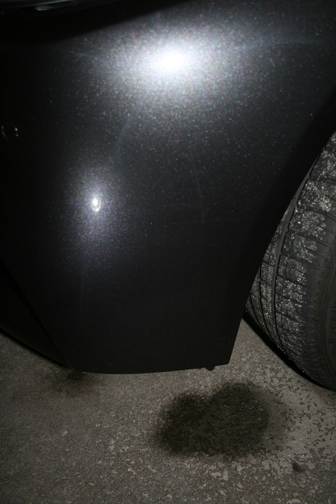 IMG_1142_zpsq3mkb5nx.jpg