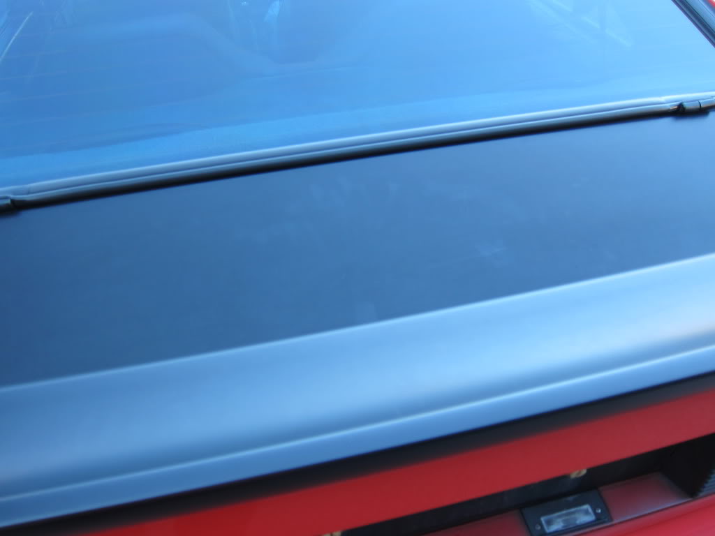 IMG_1317_zps4a90d4f1.jpg