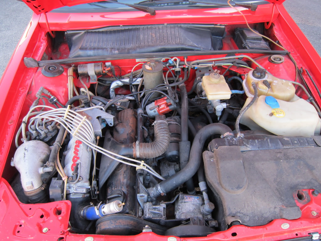 IMG_1318_zpse4942353.jpg