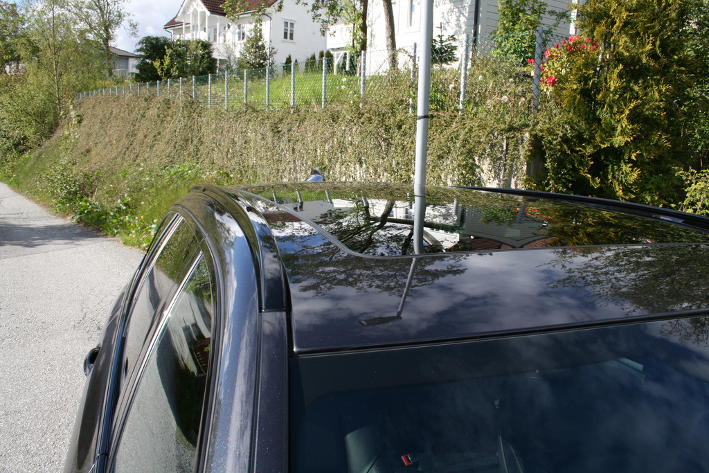 IMG_1410_zpsvec2fc4t.jpg