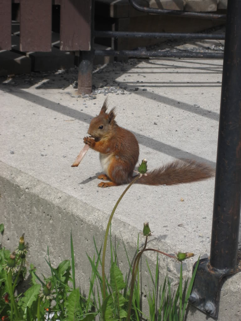 IMG_1427.jpg