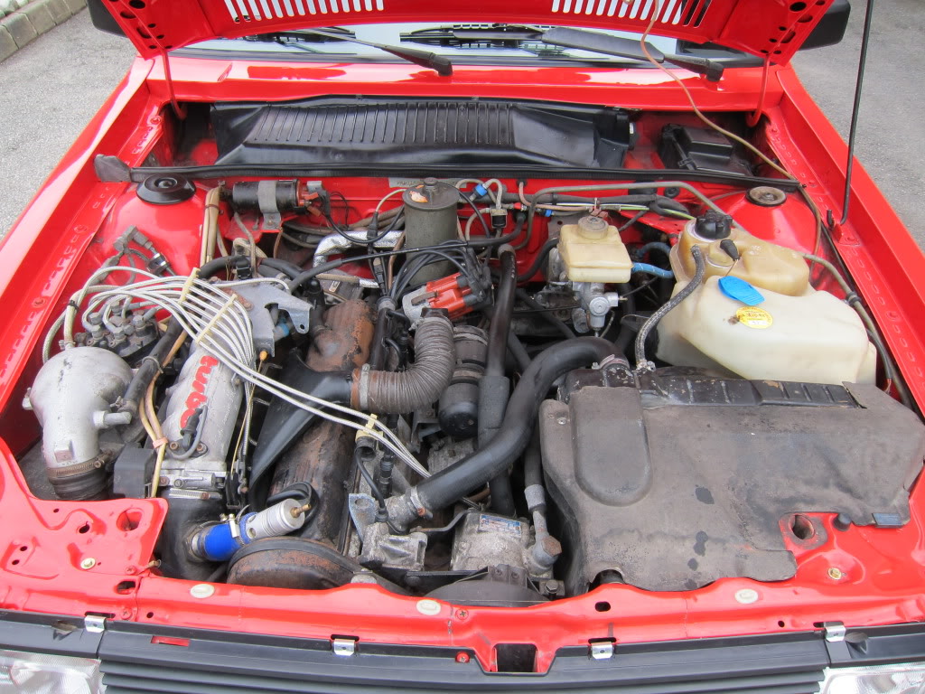 IMG_1427_zpsb7c24721.jpg