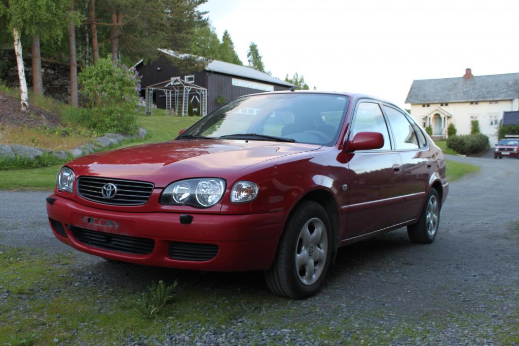 IMG_1796.jpg
