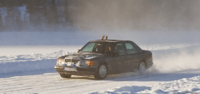 IMG_1928.jpg