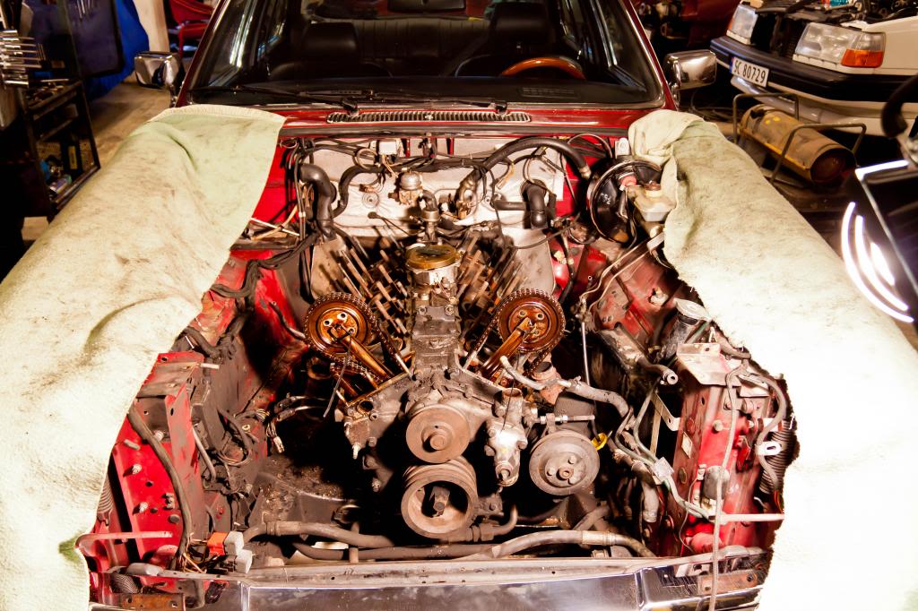 IMG_2006_zpsc75f0d30.jpg