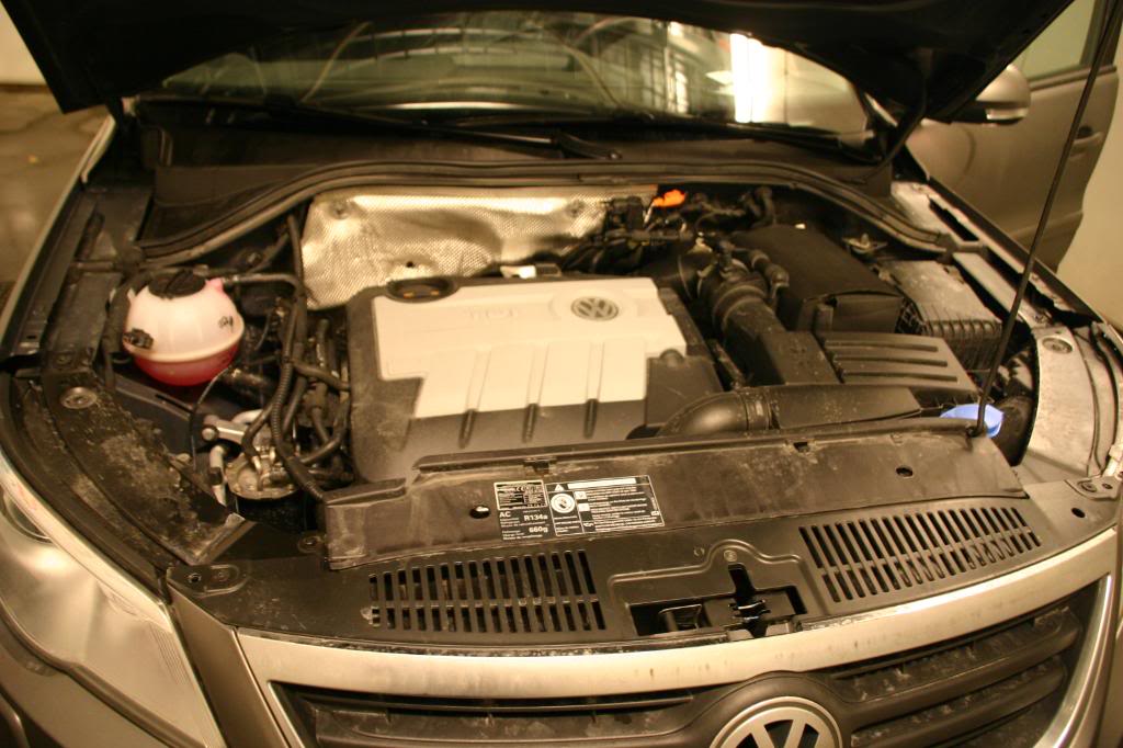 IMG_2070.jpg