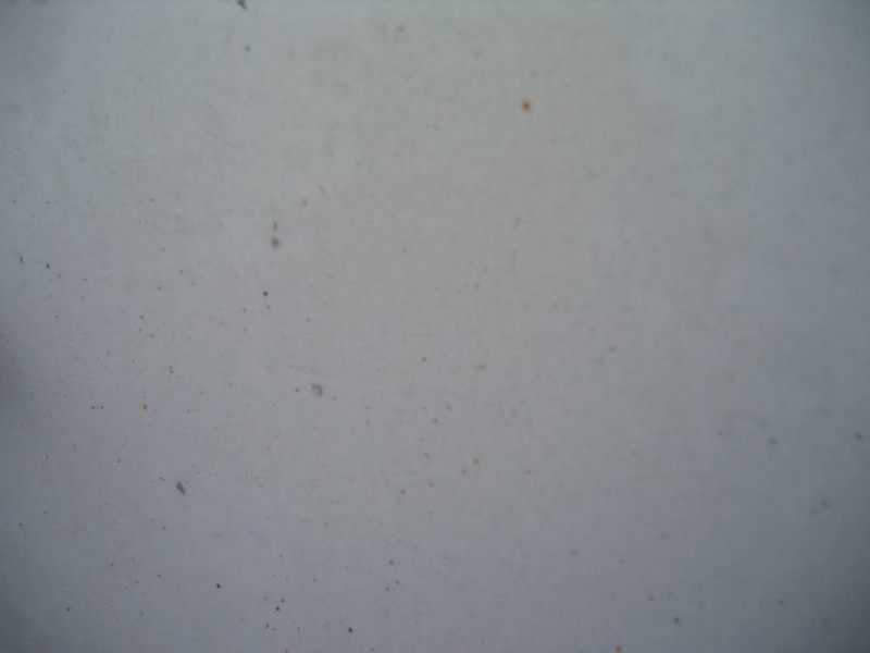 IMG_2318.jpg