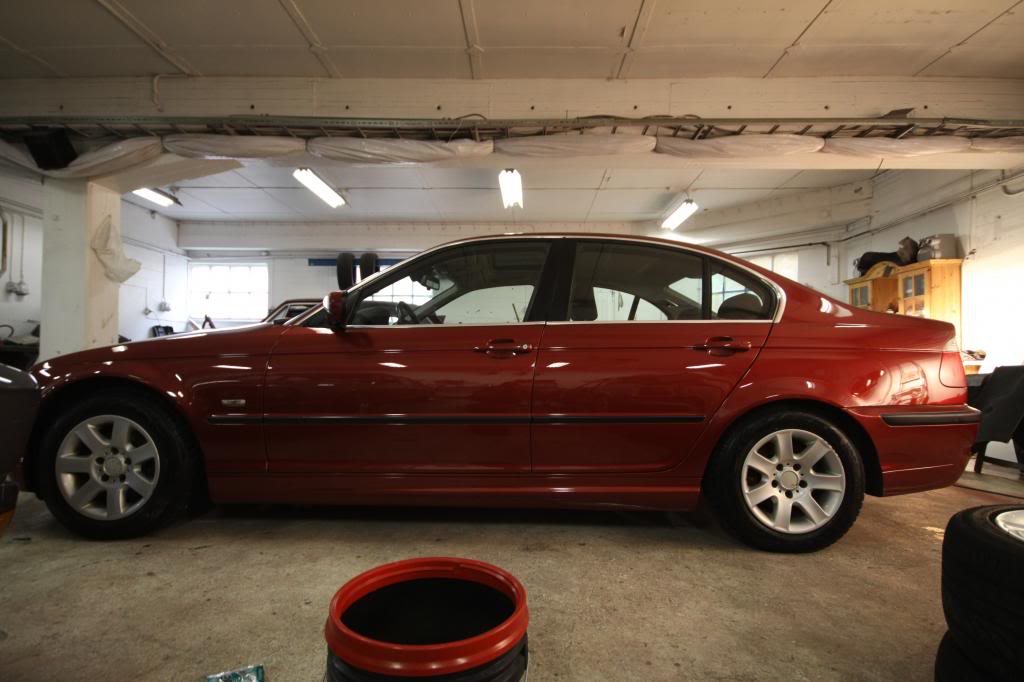 IMG_2343_zps52bf7952.jpg
