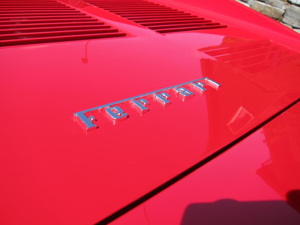 IMG_2350_zps438f4953.jpg