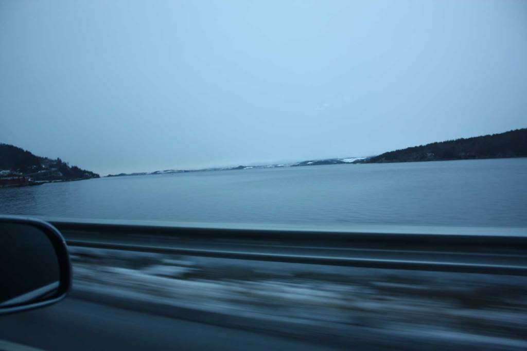 IMG_2503.jpg
