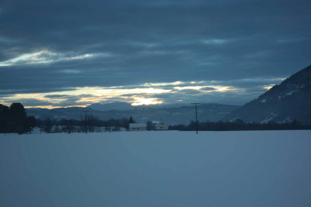 IMG_2518.jpg