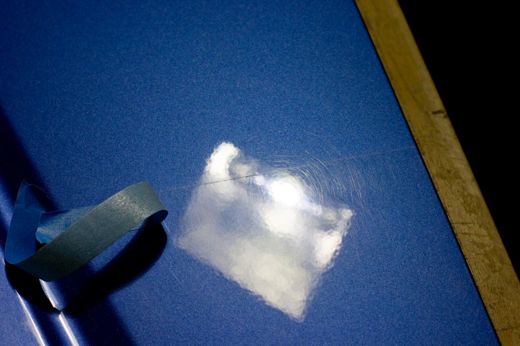 IMG_2531_1920x1280.jpg