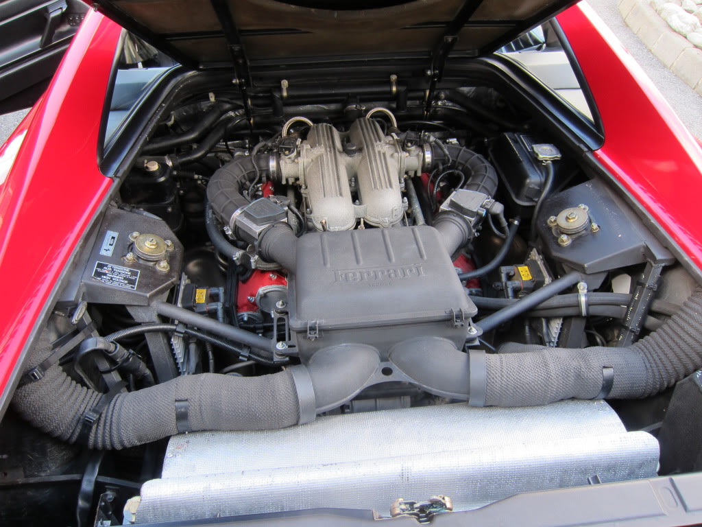 IMG_2650.jpg