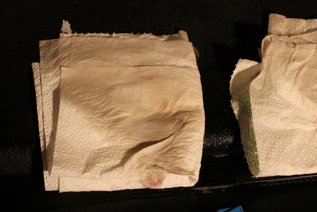 IMG_2904_1024x683.jpg