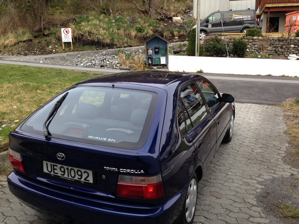IMG_3205_zps351e02ef.jpg