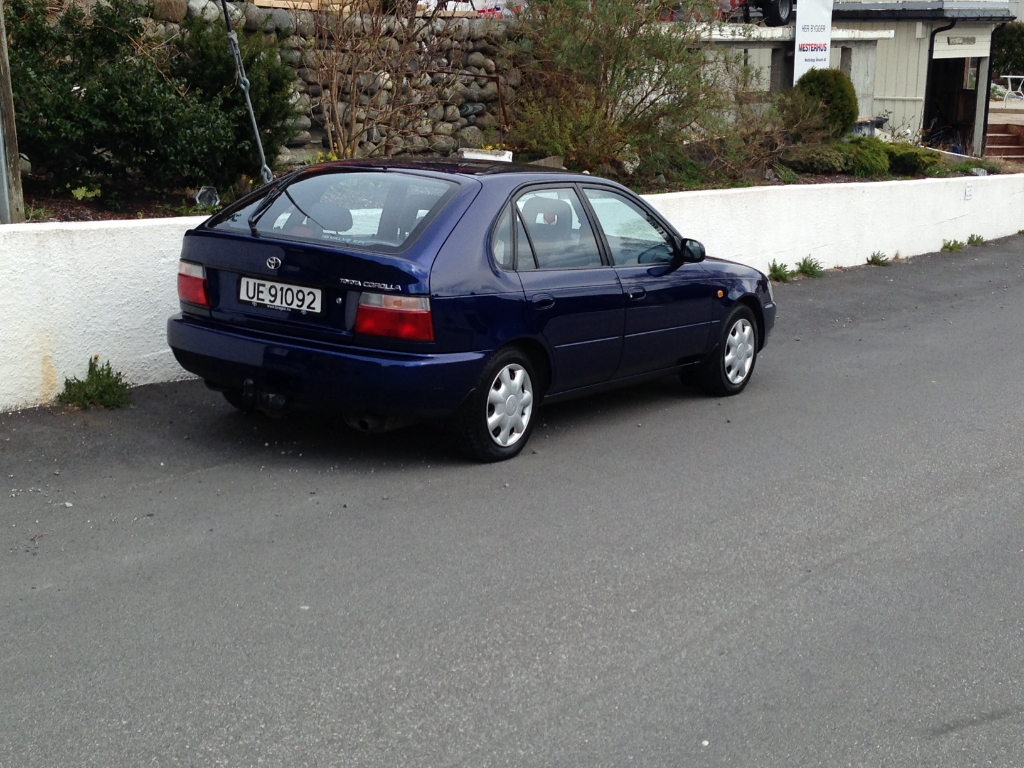 IMG_3206_zps086f716d.jpg
