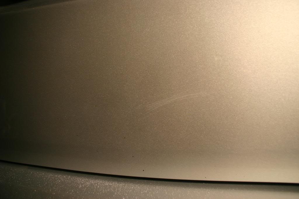IMG_3230.jpg