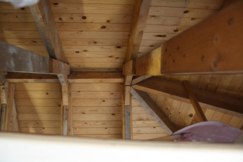 IMG_3507_zps7c5e75cd.jpg