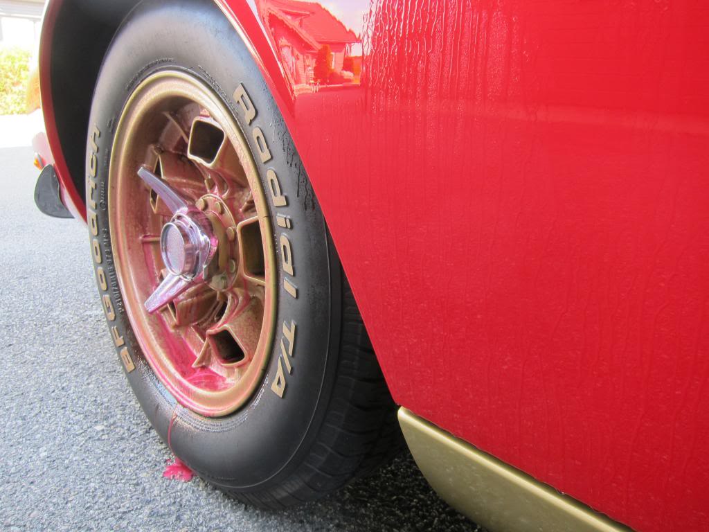IMG_3578_zps5a41687c.jpg