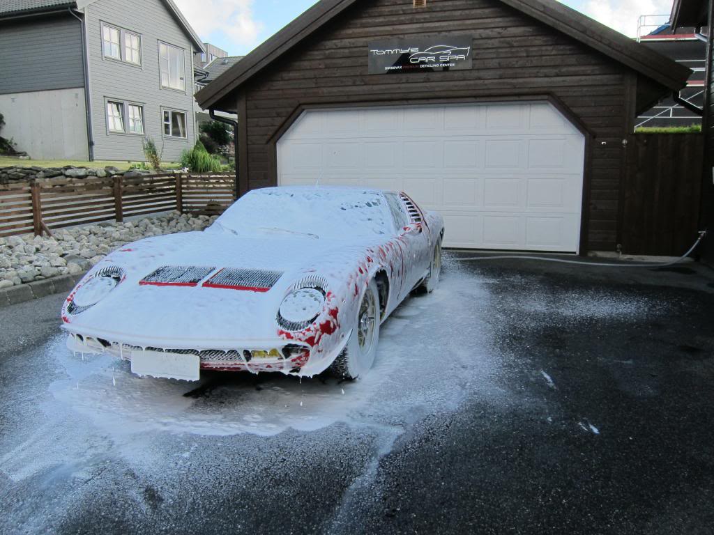 IMG_3584_zps87726def.jpg