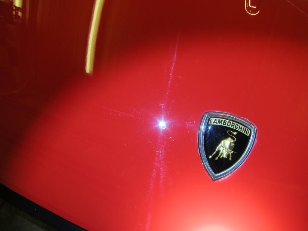 IMG_3629_zps954f9d03.jpg