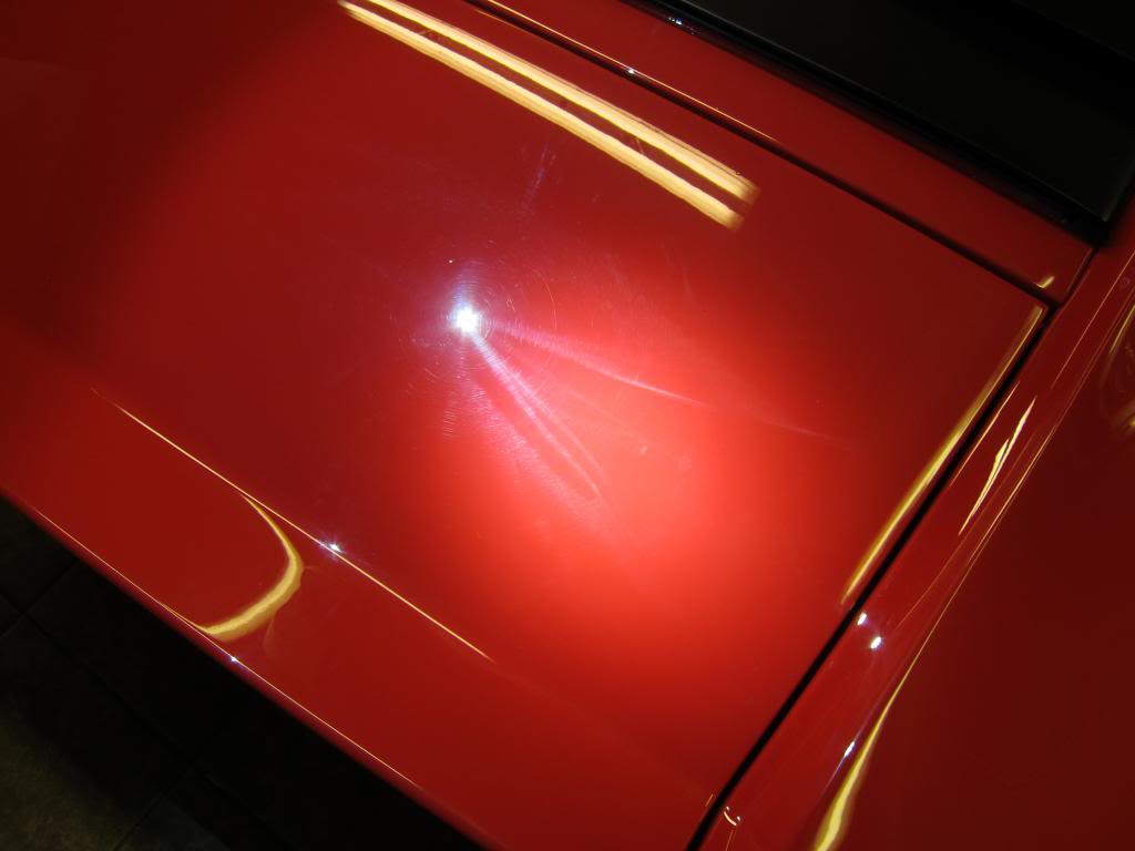 IMG_3631_zps6cce07e6.jpg