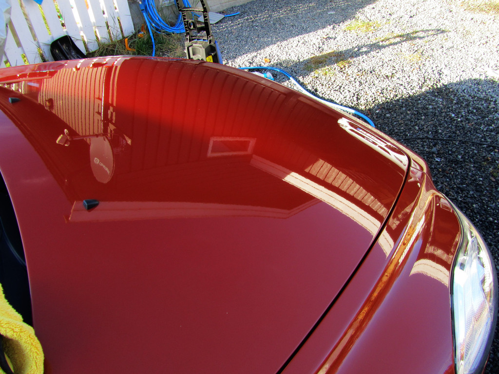 IMG_3764_zpskytrxgo3.jpg